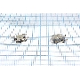 Разъем Micro USB для ZTE Quartz Z797C