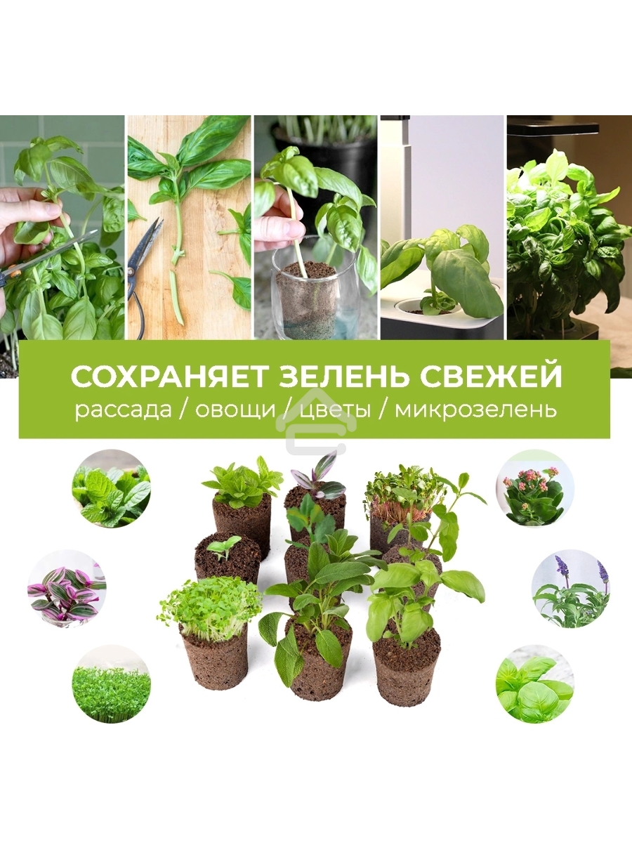 Набор питательных губок Cactus CS-SPONGE-11 для проращивания для CS-LEDPOT-11/SMARTPOT-11 (упак.:11шт) пакет