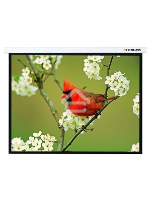 Экран Lumien 171x128см Master Picture LMP-100108 4:3 настенно-потолочный рулонный белый