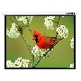 Экран Lumien 171x128см Master Picture LMP-100108 4:3 настенно-потолочный рулонный белый