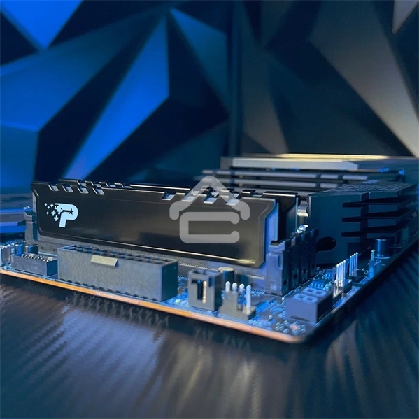 Оперативная память Patriot Signature Premium, DDR5, 16GB (1x16 GB), 5600 MHz, CL46, DIMM, радиатор, черный