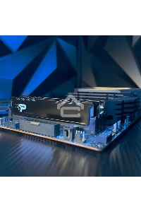 Оперативная память Patriot Signature Premium, DDR5, 16GB (1x16 GB), 5600 MHz, CL46, радиатор, черный
