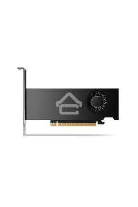 Видеокарта Nvidia RTX 2000 Ada Generation