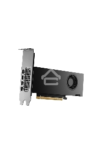 Видеокарта Nvidia RTX 2000 Ada Generation