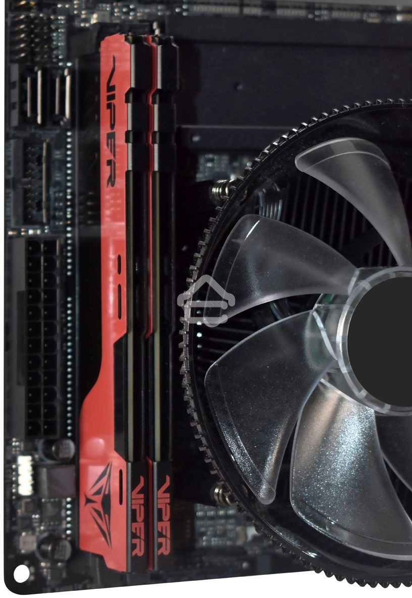 Оперативная память Patriot Viper Elite II, DDR4, 64GB (2x32 GB), 3600 MHz, CL20, DIMM, радиатор, красный/черный