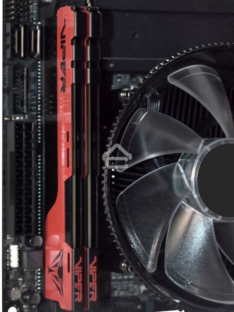 Оперативная память Patriot Viper Elite II, DDR4, 64GB (2x32 GB), 3600 MHz, CL20, DIMM, радиатор, красный/черный