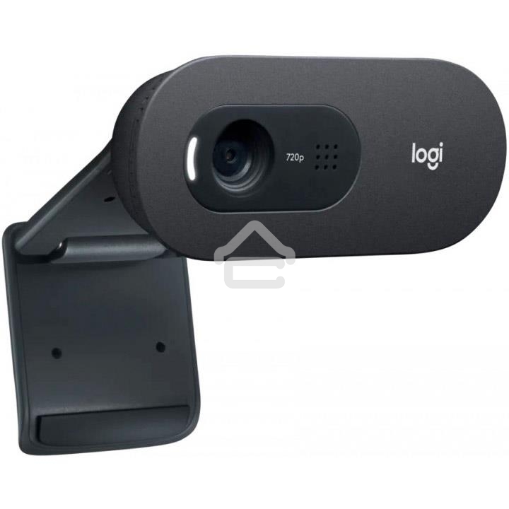 Веб-камера LOGITECH C505e - BLK - USB - N/A - WW   Video Collaboration Group