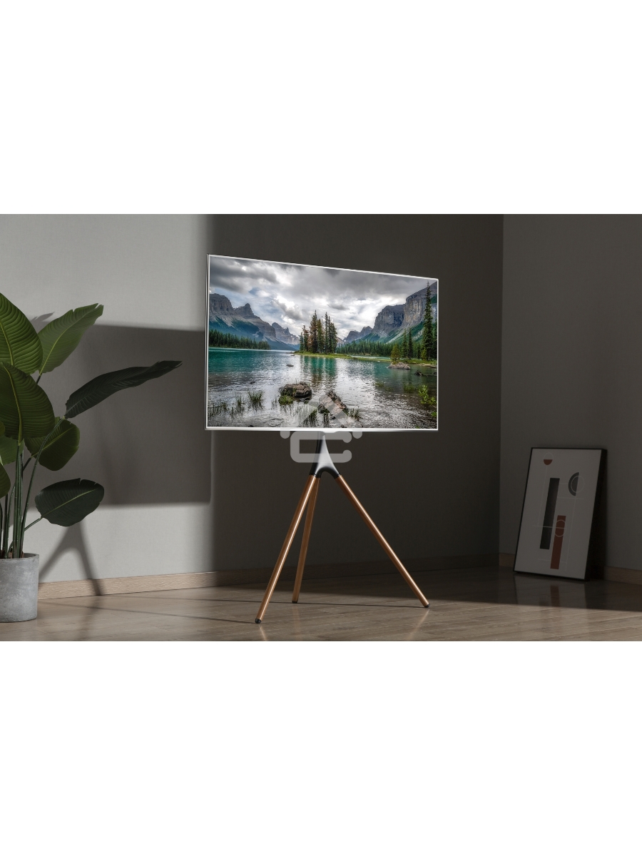 Подставка для телевизора Cactus CS-ST1246BKWN черный/орех 45