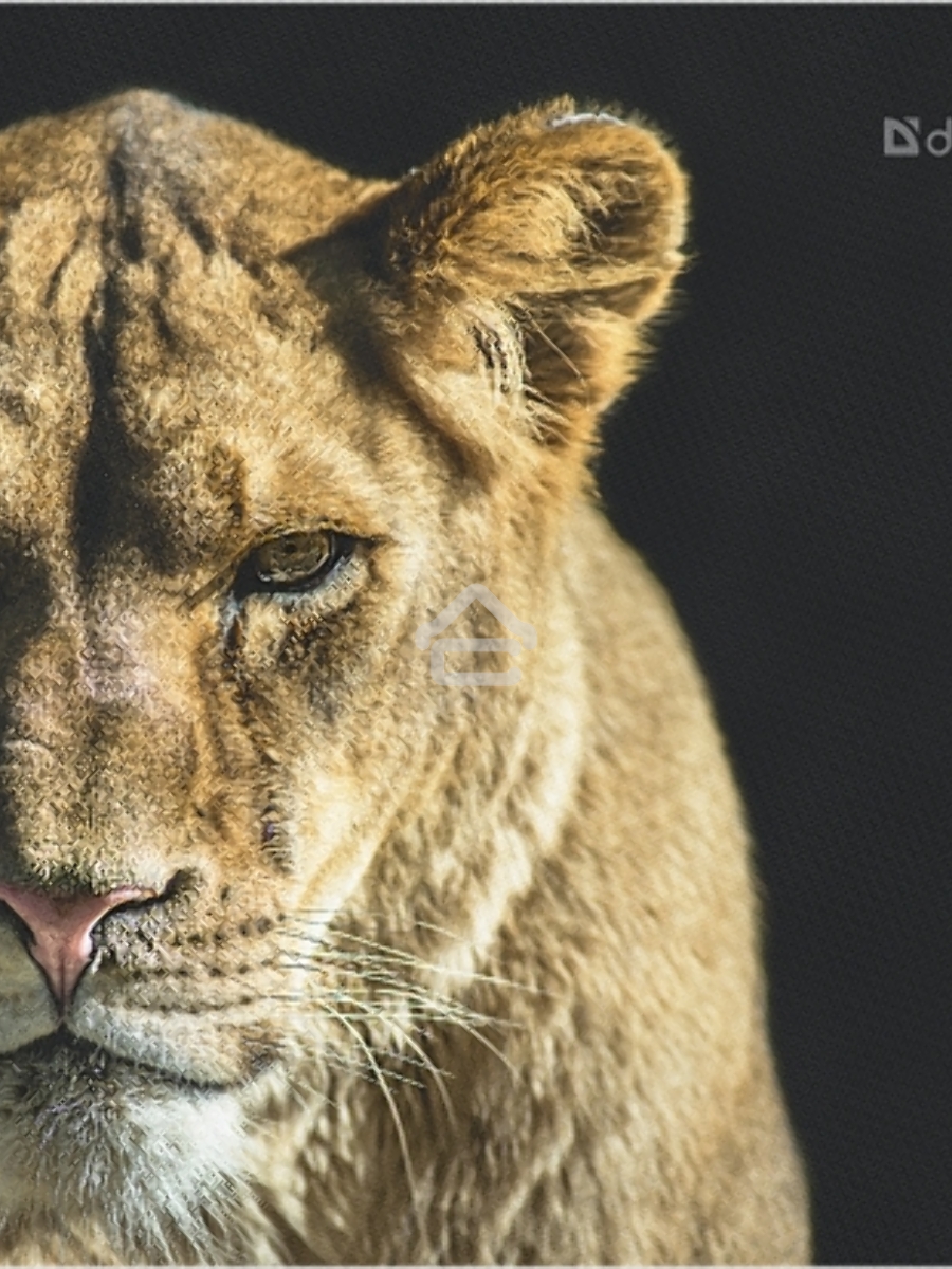 Коврик для мыши Defender Wild Animals и, 220x180x2 мм, 8 видов