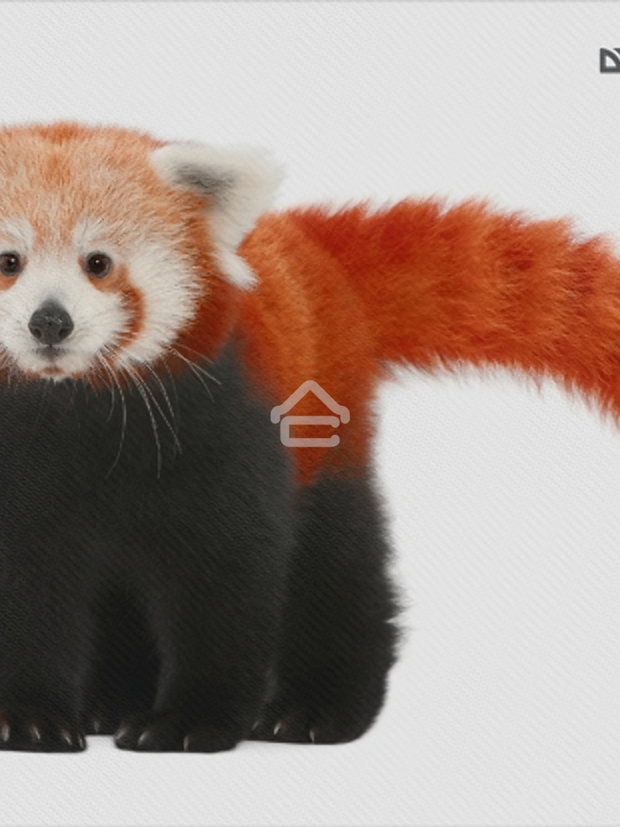 Коврик для мыши Defender Wild Animals и, 220x180x2 мм, 8 видов