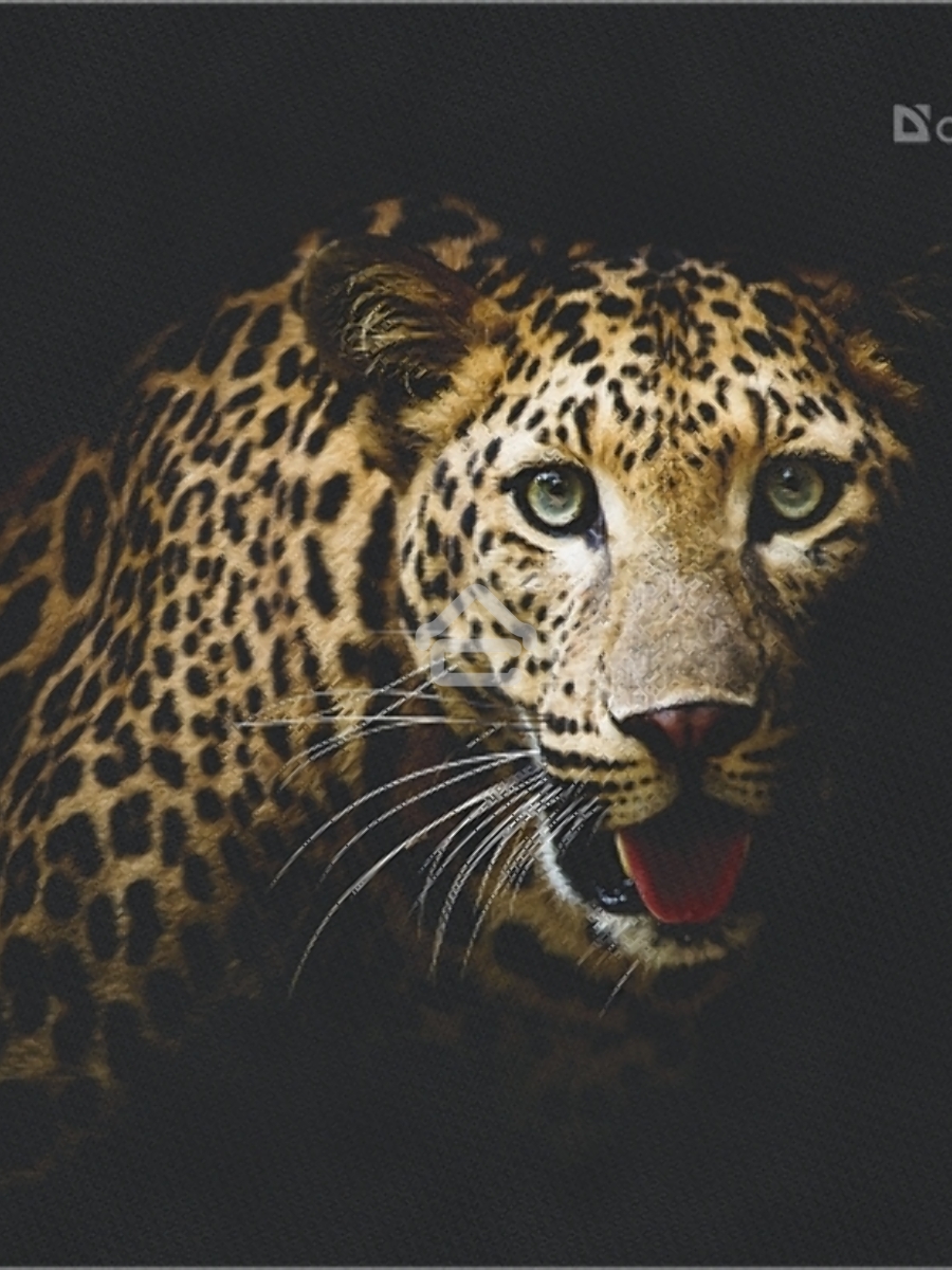 Коврик для мыши Defender Wild Animals и, 220x180x2 мм, 8 видов