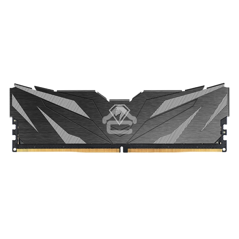 Оперативная память NETAC, DDR5, 16GB (1x16GB), 4800MHz, CL40, DIMM, с радиаторами, черный