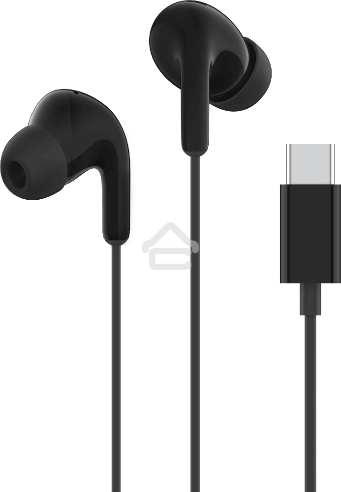 Наушники Xiaomi Type-C Earphones черный M2413E1