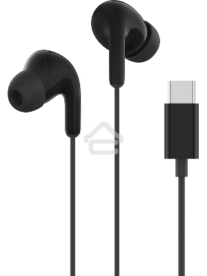 Наушники Xiaomi  Type-C  черный M2413E1