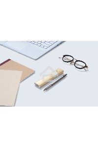 Презентер Logitech Spotlight золотистый, радиоканал, USB, кнопки - 3