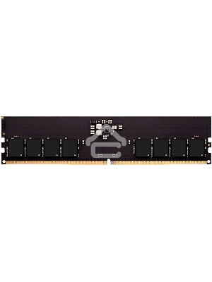 Оперативная память AMD Radeon R5, DDR5, 16GB (1x16GB), 4800MHz, CL40