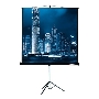 Экран на треноге Lumien 203x203см Master View LMV-100109 1:1 напольный рулонный
