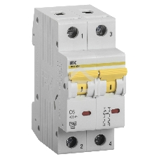 Выключатель автоматический модульный 2п C 6А 6кА ВА47-60M IEK MVA31-2-006-C