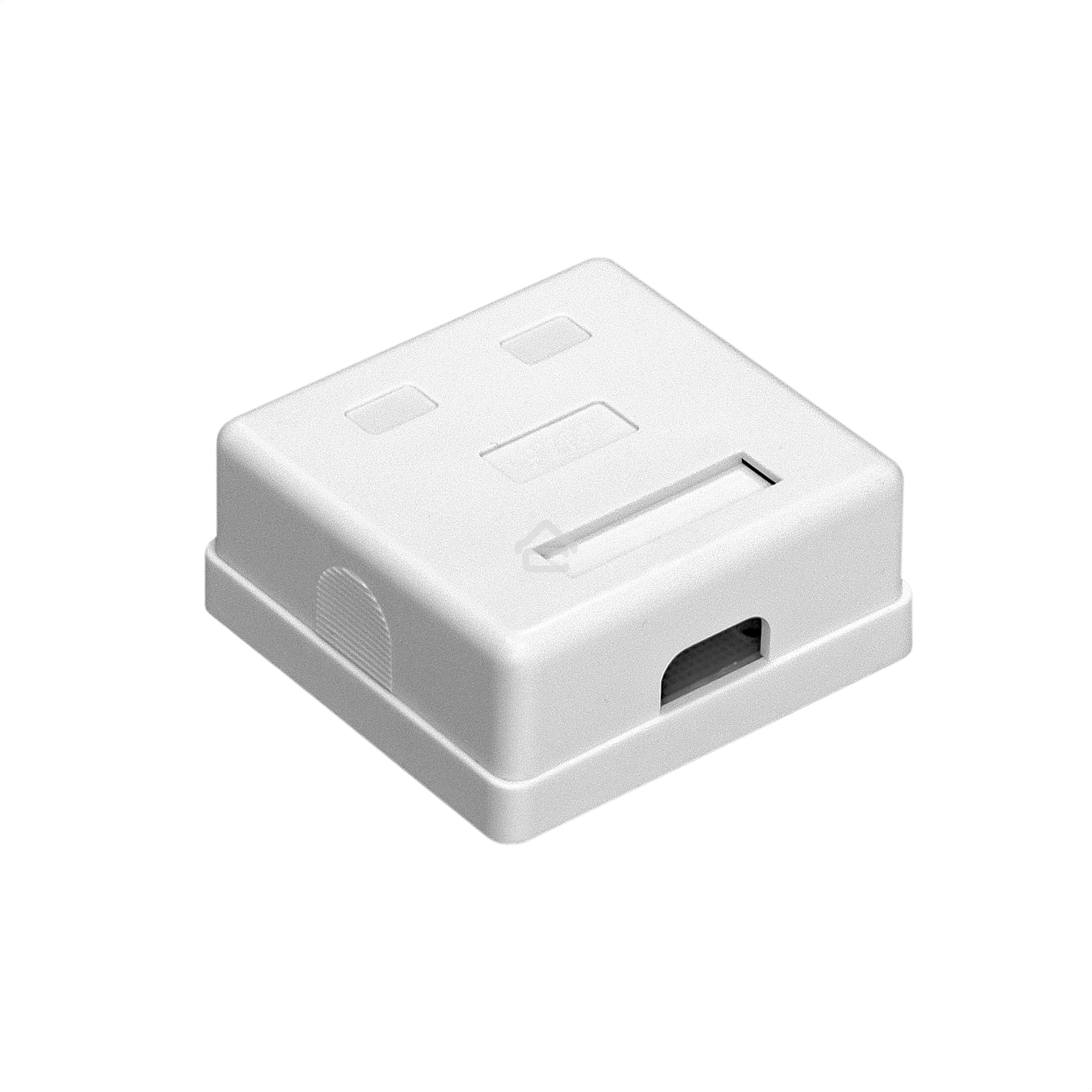 Розетка внешняя двойная ExeGate SM2-RJ45-C5 RJ-45 кат.5/5E UTP Krone/110