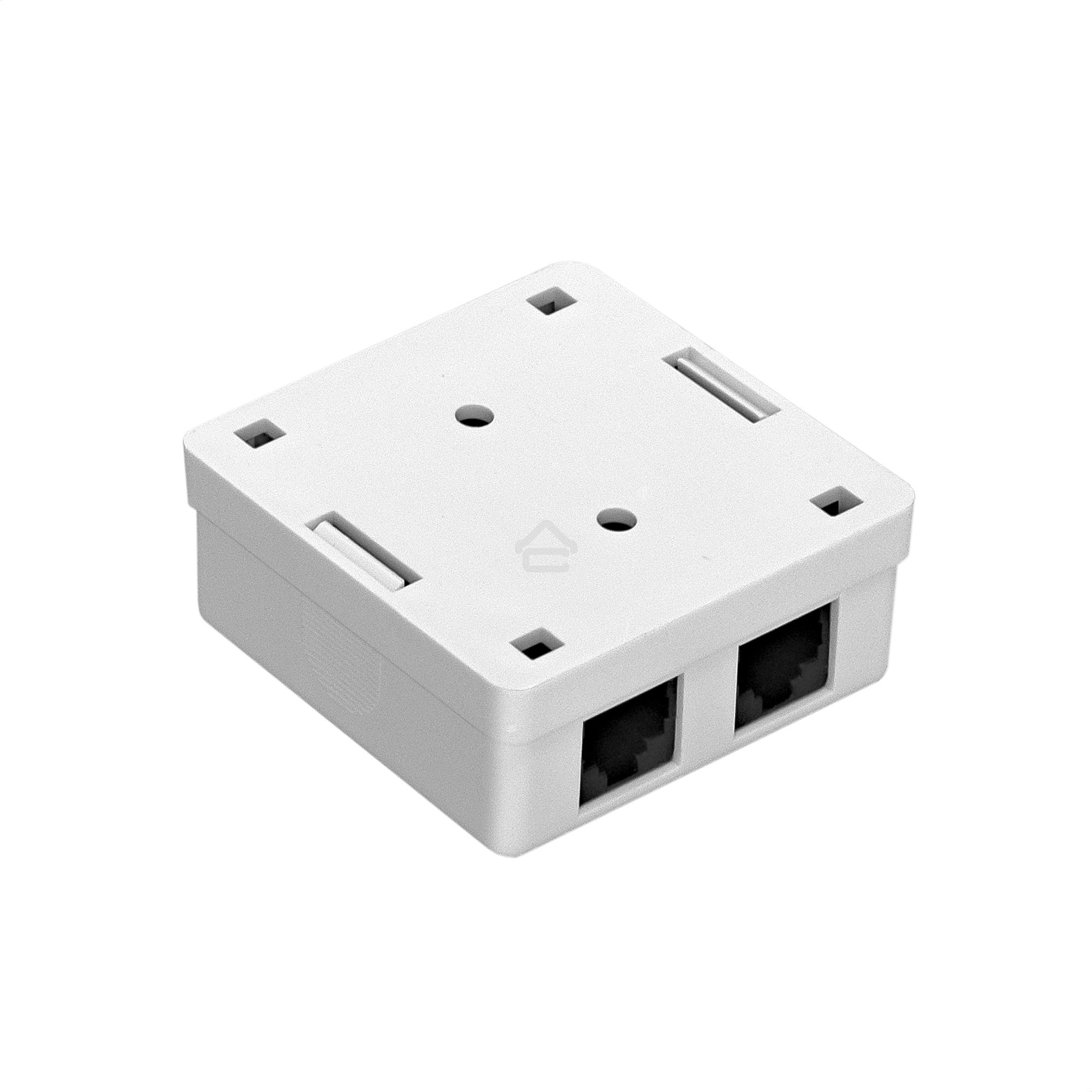 Розетка внешняя двойная ExeGate SM2-RJ45-C5 RJ-45 кат.5/5E UTP Krone/110