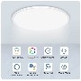 Светильник потолочный Moes Wi-Fi Smart Ceiling Light белый модели WCL-TD