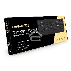 Клавиатура проводная ExeGate Professional Standard LY-E5500M, USB, черный