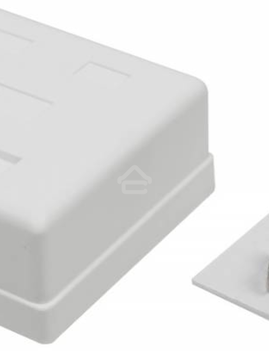 Розетка TWT (TWT-SM2-4545-WH) настенная 2 порта RJ-45 категории 5е. UTP. белая